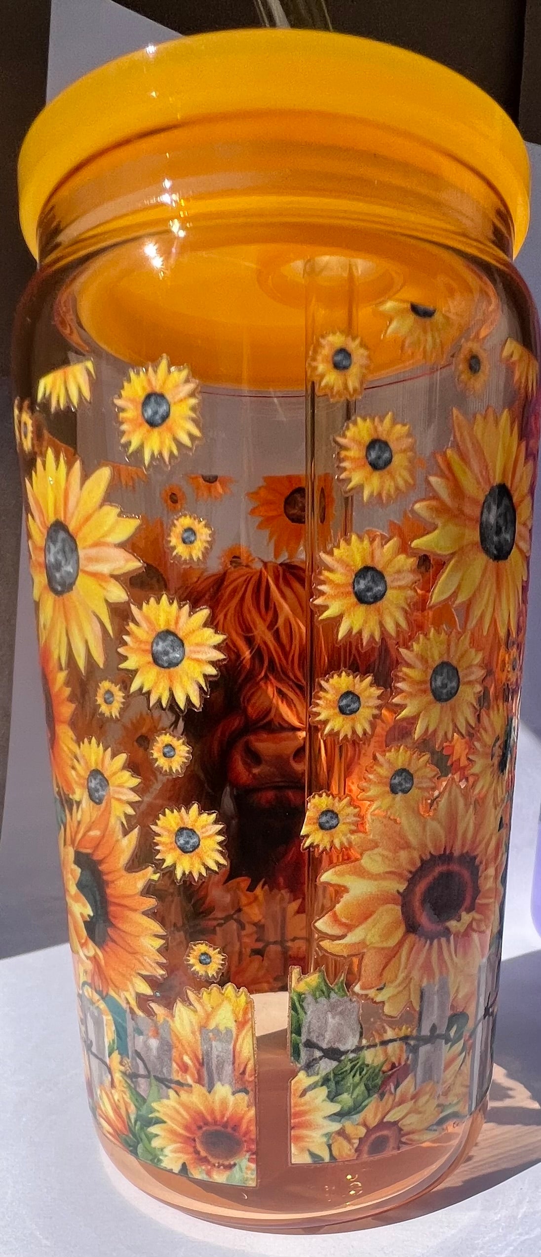 “Seconds item” Highland Cow Glass Tumbler