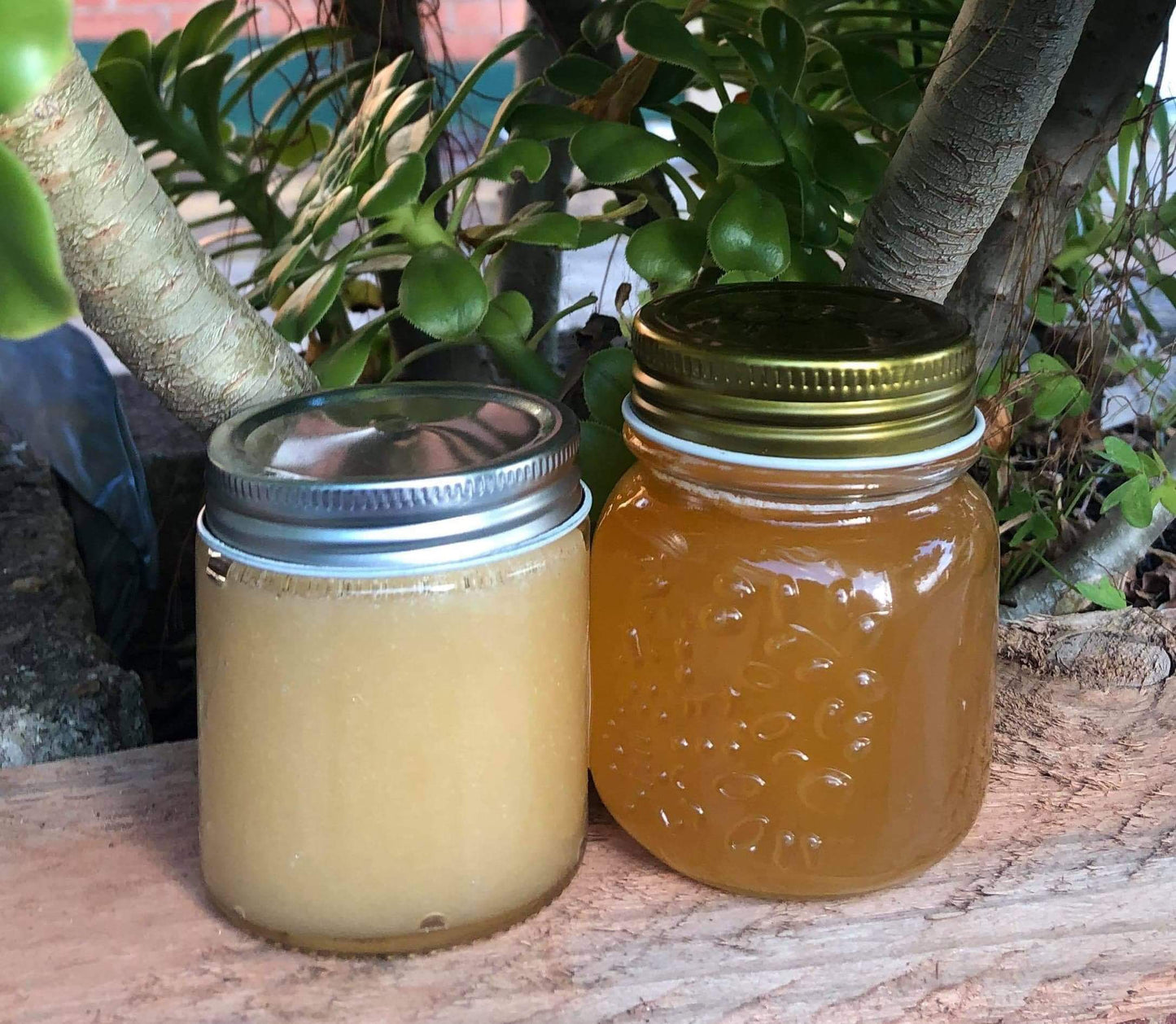Honey Sampler Pack